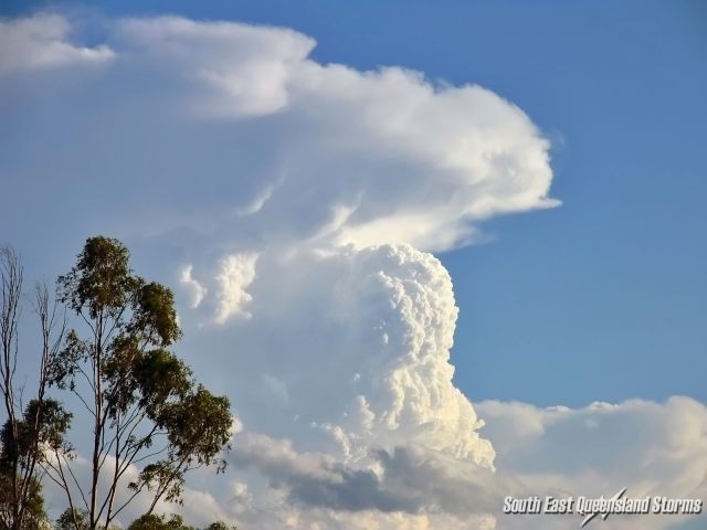 Zoom of the billowing updrafts