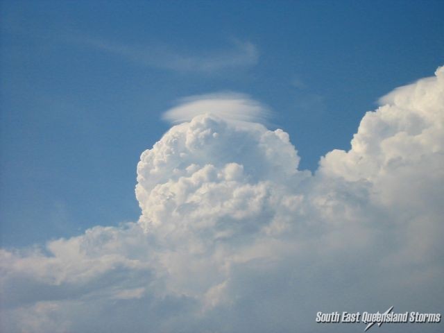 Pileus capping on a storm north of Brisbane