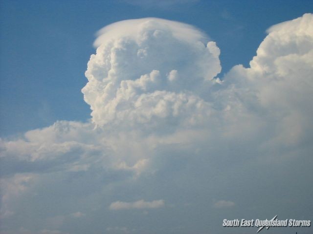 Large pileus capping on a storm north of Brisbane