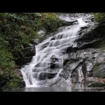 Kondalilla falls, Montville