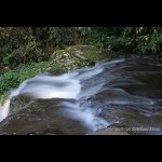 Picnic rock falls, Lammington National Park