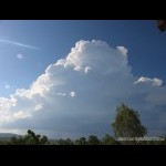 Large updrafts on the top of the developing cb with a hailshaft under it.