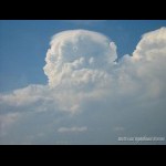 Large pileus capping on a storm north of Brisbane