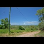 Cane fields and farming areas, 10km from Seaforth