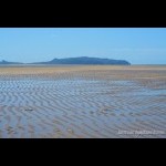 Low tide exposes rippled sand patterns at Shoal Point