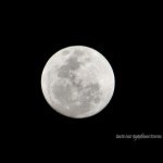moon080806.jpg