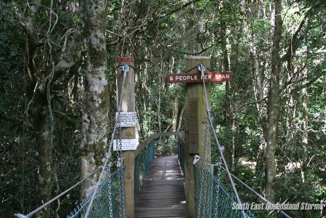 Warning sign for maximum number of people on the Treetop walk at Lammington National Park