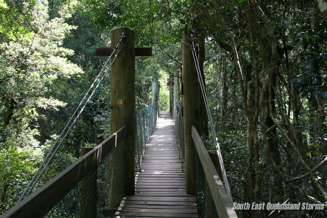 Exit at the treetop walk, Lammington National Park