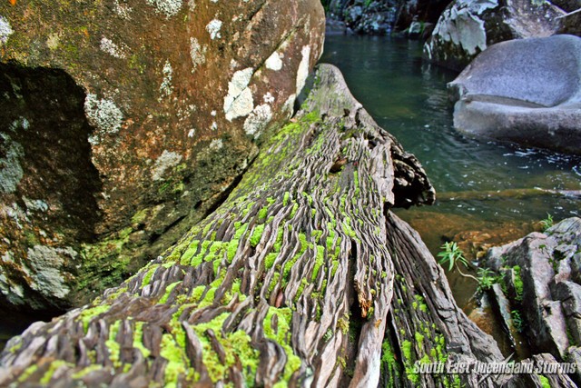 Fallen log with moss looking downstream of the main falls