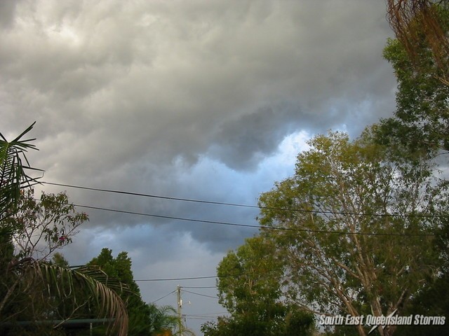 Looking to the east from Acacia Ridge, courtesy of Carol Manning